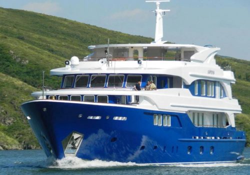 Bayterek (Luxury Yacht)